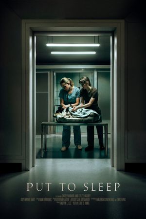 Put To Sleep's poster
