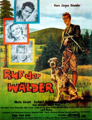 Ruf der Wälder's poster