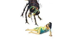 The Fly's poster