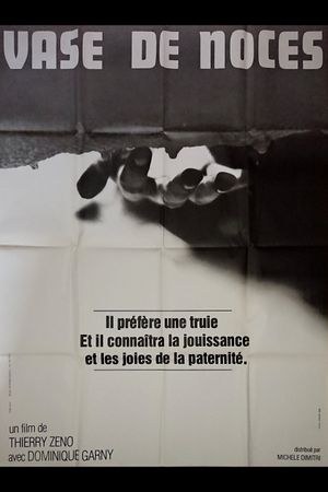 Wedding Trough's poster