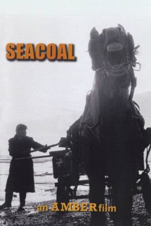Seacoal's poster image