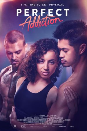 Perfect Addiction's poster
