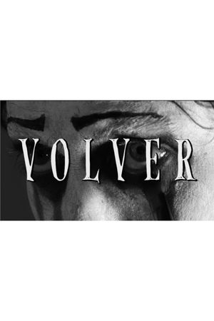 Volver's poster