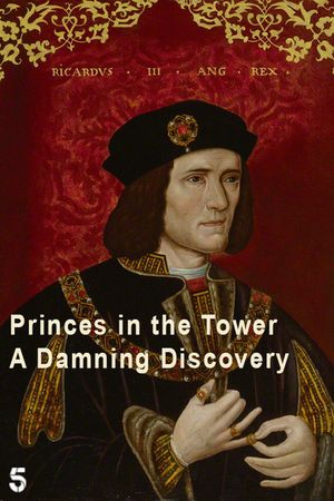 Princes in the Tower: A Damning Discovery's poster