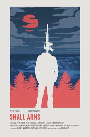 Small Arms's poster