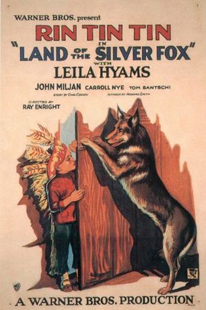 Land of the Silver Fox's poster