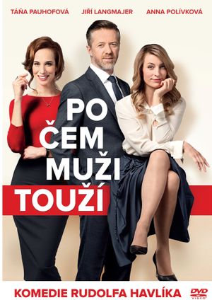 Po cem muzi touzí's poster