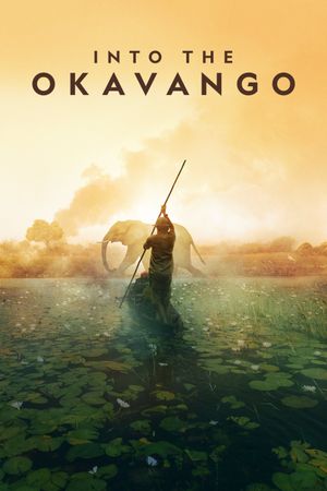 Into the Okavango's poster