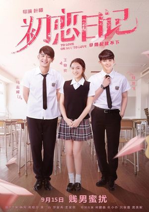 To Love or Not to Love's poster