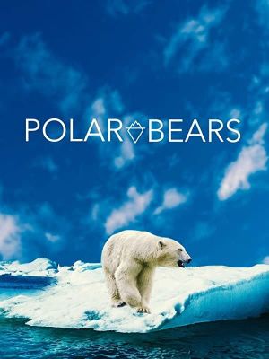 Polar Bears's poster image