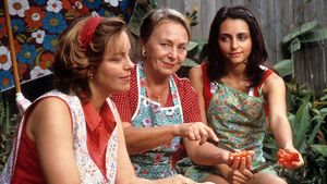 Looking for Alibrandi's poster