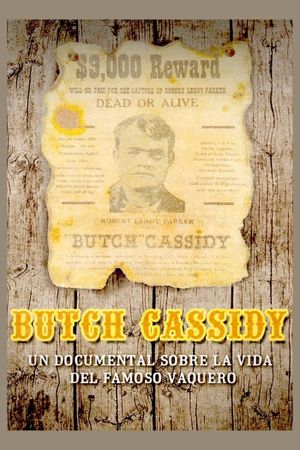 Butch Cassidy's poster