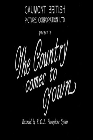 The Country Comes to Town's poster image