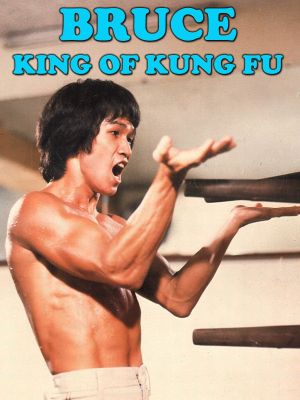 Bruce: King of Kung Fu's poster