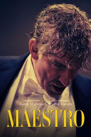 Maestro's poster