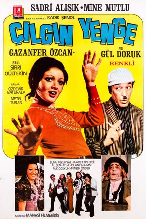 Çilgin Yenge's poster