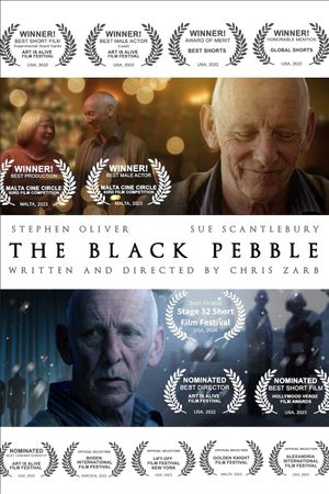 The Black Pebble's poster