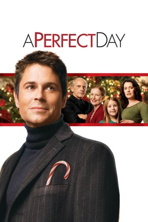 A Perfect Day's poster image
