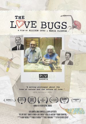 The Love Bugs's poster