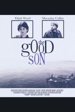 The Good Son's poster