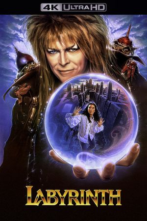 Labyrinth's poster