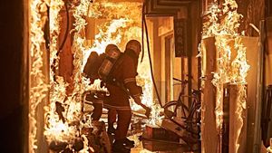 The Firefighters's poster