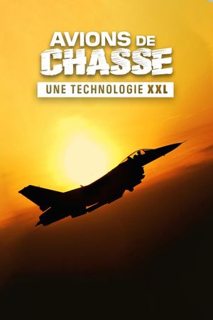 Avions de chasse : Une technologie XXL's poster