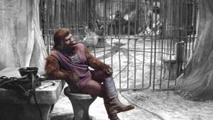 Planet of the Apes's poster