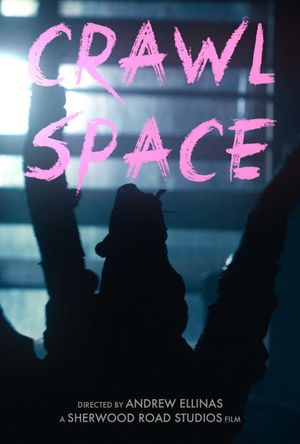 Crawl Space's poster