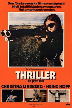 Thriller: A Cruel Picture's poster