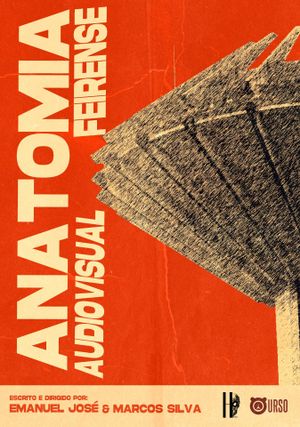 Anatomia Audiovisual Feirense's poster
