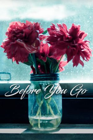 Before You Go's poster