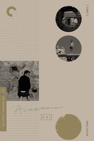Accattone's poster