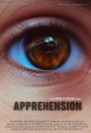 Apprehension's poster