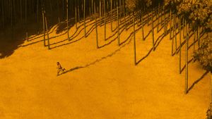 The Red Turtle's poster