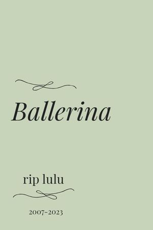 Ballerina's poster