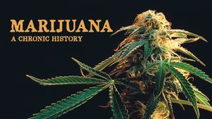 Marijuana: A Chronic History's poster