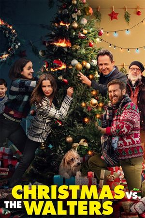 Christmas vs. The Walters's poster