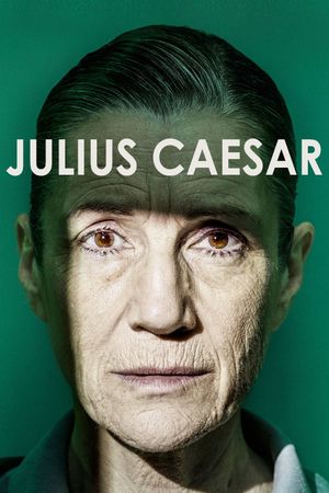 Julius Caesar's poster