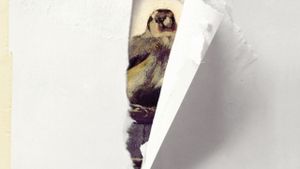 The Goldfinch's poster