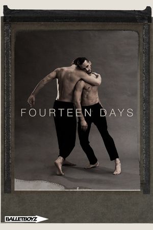 Fourteen Days's poster