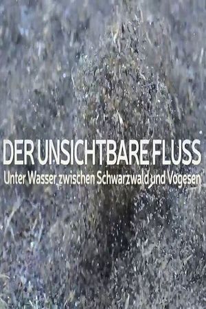 Un fleuve invisible's poster