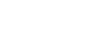 Life or Something Like It's poster