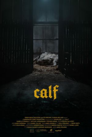 Calf's poster