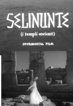 Selinunte, i templi addormentati's poster