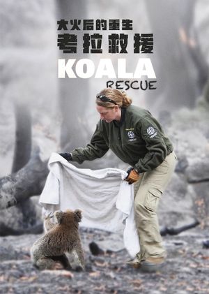 Koala Rescue's poster image