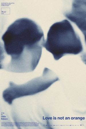 Love Is Not an Orange's poster