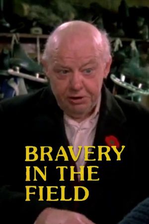 Bravery in the Field's poster