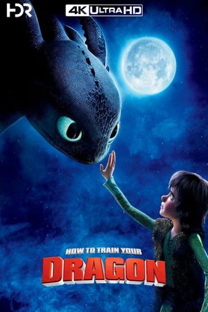 How to Train Your Dragon's poster