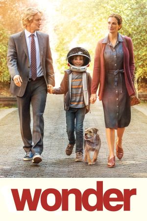 Wonder's poster